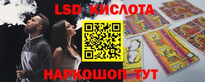 амф Кандалакша