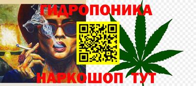 эйфоретик Камышлов