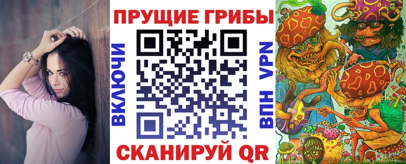 хочу наркоту  Муравленко  Псилоцибиновые грибы Cubensis 