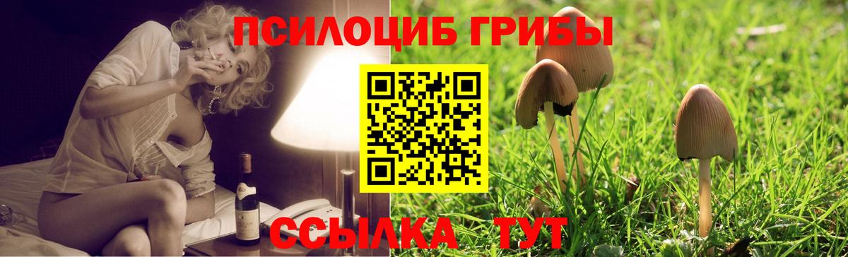 Муравленко  Псилоцибиновые грибы Cubensis  Галлюциногенные грибы Psilocybe  Вход с VPN 
